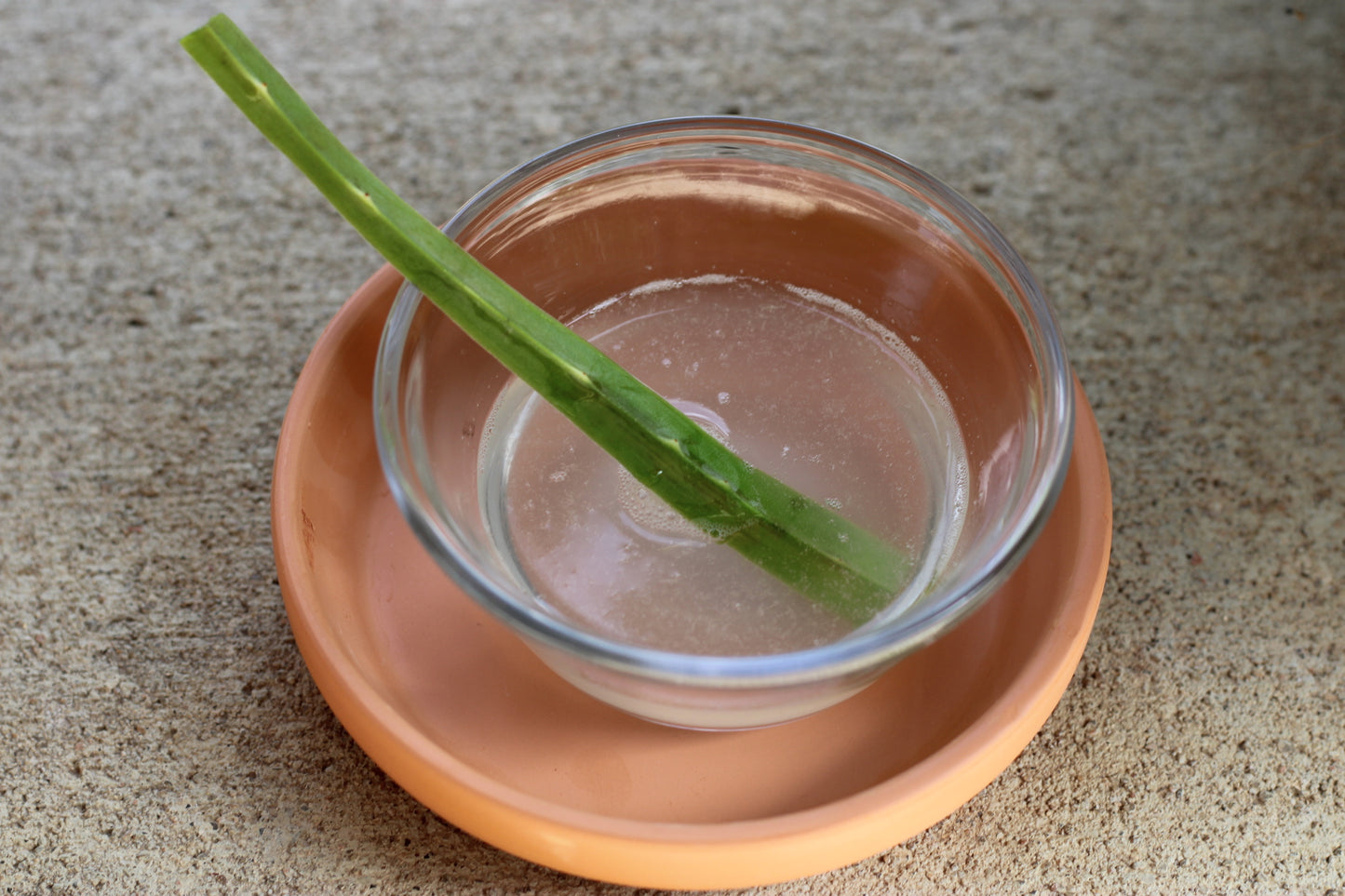 Pure Aloe Vera Gel